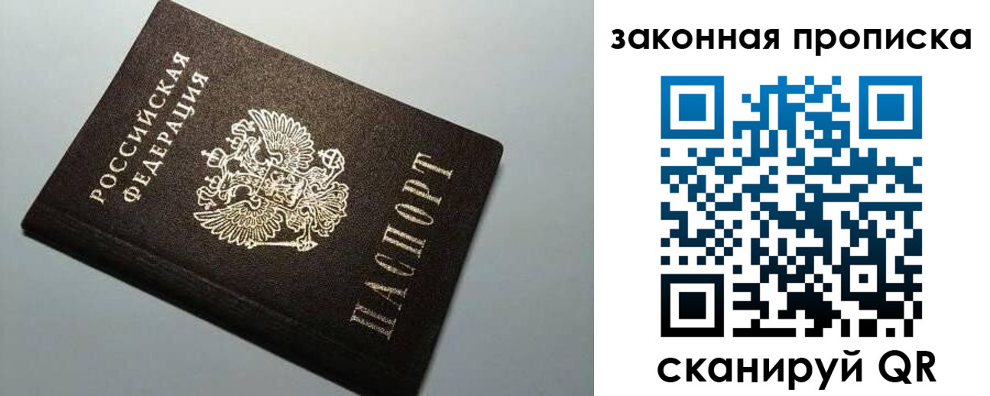 прописка поиск в Ростове-на-Дону